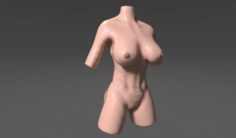 Sexy body of a WOMAN 3D Model