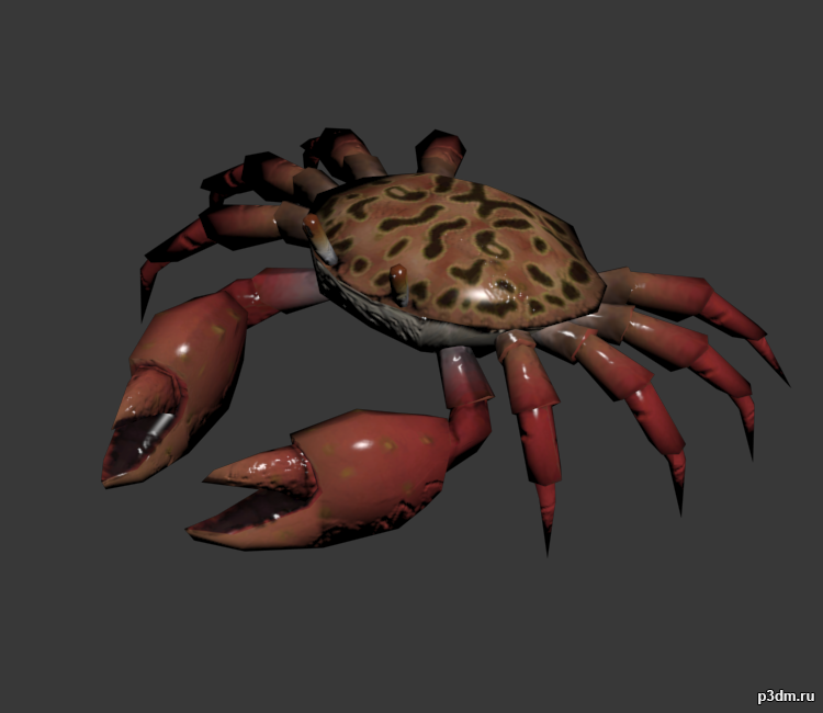 Crab 3D Model