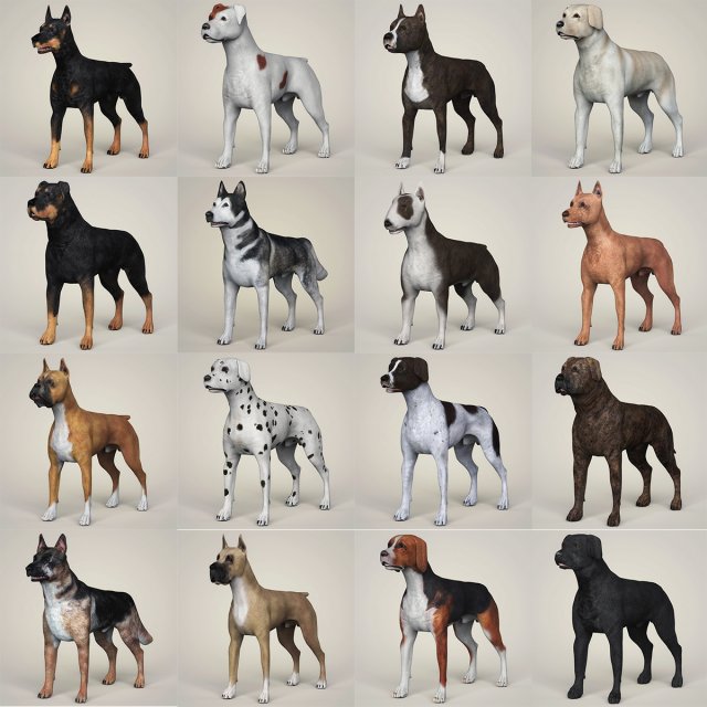 Dog Breeds Collection 3D Model