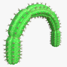 Cactus gate 3D Model