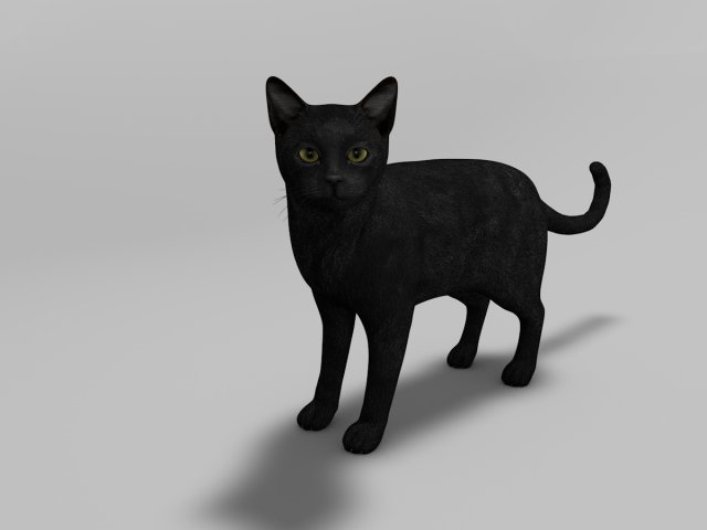 Black Cat Rigged 3D Model