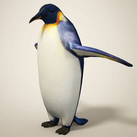 Penguins 3D Model