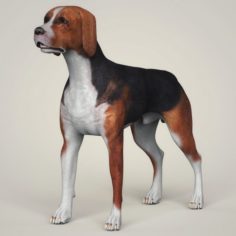 Realistic Hound Black Dog 3D Model