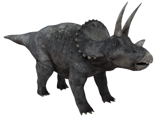 Triceratops 3D Model