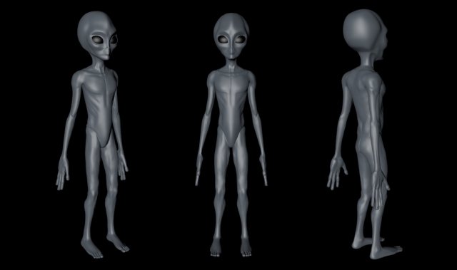 Realistic Alien 1 3D Model