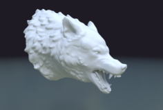Wolf Head II 3D Model