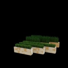 Grass171213 3D Model