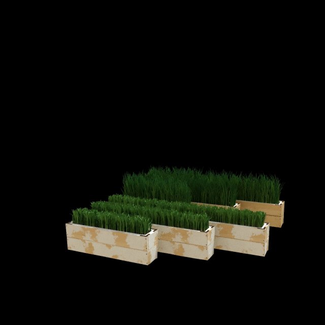 Grass171213 3D Model