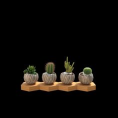 Small plants-171213 3D Model