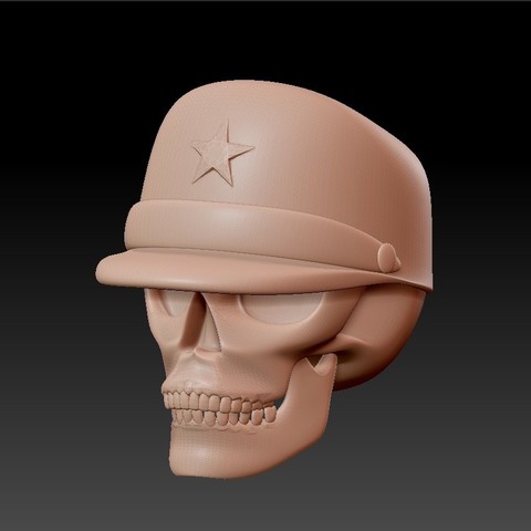 skull with cap 3D Print Model