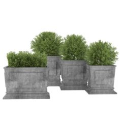 Plants 01 3D Model