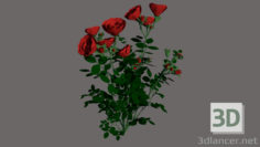 3D-Model 
PINK FLOWER