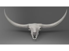 Bison latifrons skull 3D Print Model