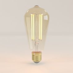 Decorative Edison Bulb LED E24 3D Model