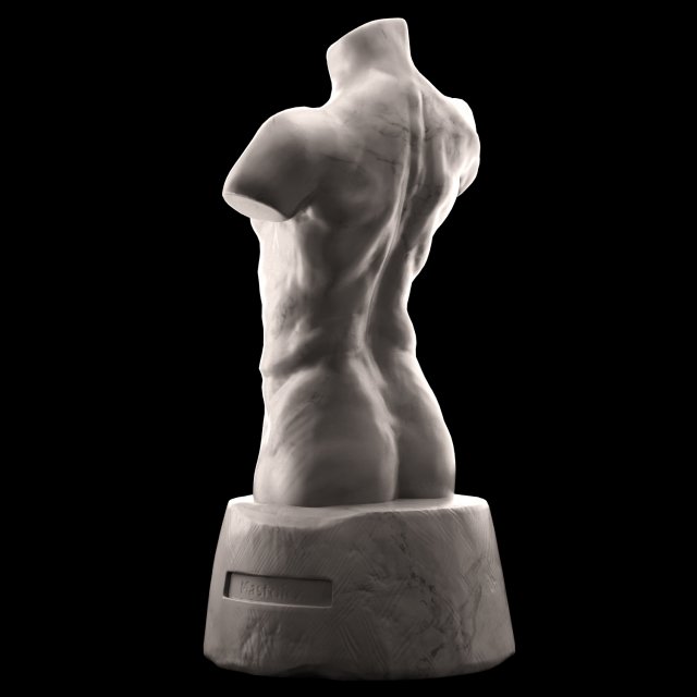 Man torso 3D Model