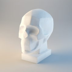 Gypsum skull planes 3D Model