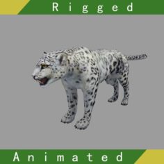 Snow Leopard Rigged Animated 3D Model