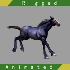 Horse Rigged Animated 01 3D Model