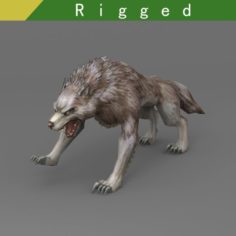Wolf Rigged 3D Model