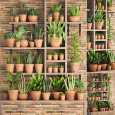Collection of plants in clay pots 3D Model