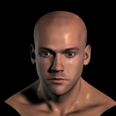Human head max 3D Model