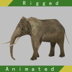 Elephant Rigged Animated 3D Model
