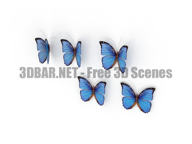 Blue butterflies decor set 3D Collection