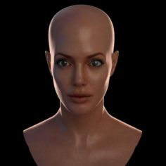 3D Angelina Jolie 3D Model