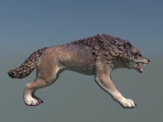 Wolf II Low Poly 3D Model