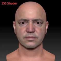 Male head ZTL 3D Model