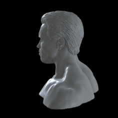 3d printable model Arnold Schwarzenegger 3D Model