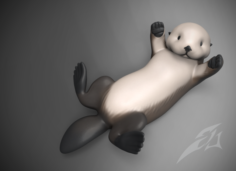Sea Otter 3D Model