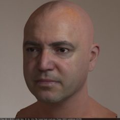 Human head max 2 3D Model