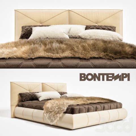 BED 3D Model