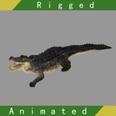 Crocodile Rigged Animated 3D Model
