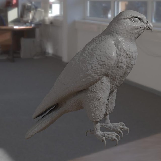 Falcon bird basic shape 3D Model