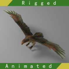 Eagle Rigged Animated 01 3D Model