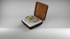 Rings 3D Model
