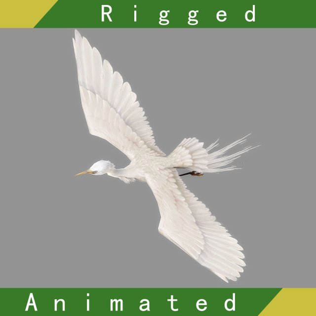 Egret Rigged Animated 3D Model