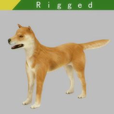 Akita Dog Rigged 3D Model