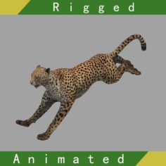 Cheetah Rigged Animated 3D Model