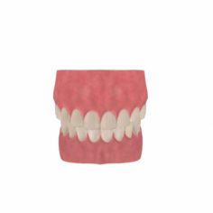Human Mouth 3D Model