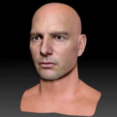 The 3d Tom Cruise head 3D Model