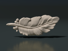 Feather 3D Model