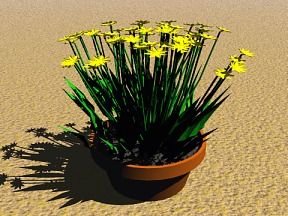 Flower 10 Free 3D Model