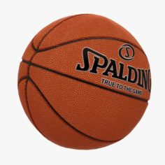 Spalding Basketball Ball 3D Model