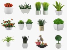 12 pot plant s 3D Model