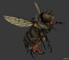 Blowfly 3D Model