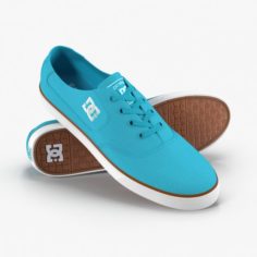 DC Shoes – Flash TX Turquoise 3D Model
