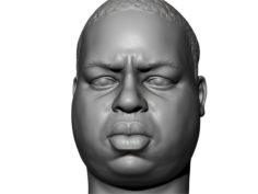 Biggie 3D printable portrait 3D Model